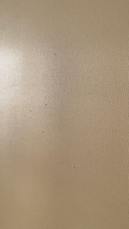 Unit 017 — One Bead Field: Catharsis