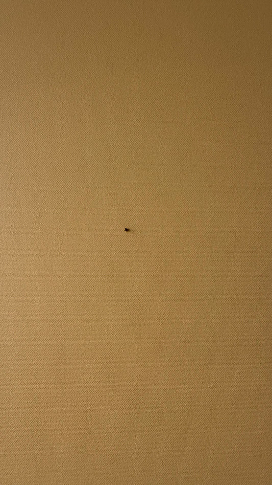 Unit 015 — One Bead: Silence II